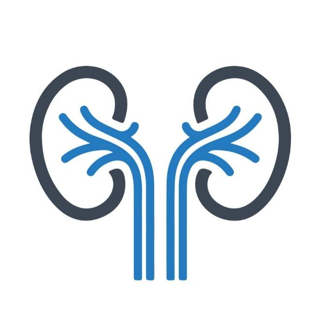 Néphrologue à Grombalia - Dr Malika Hajri